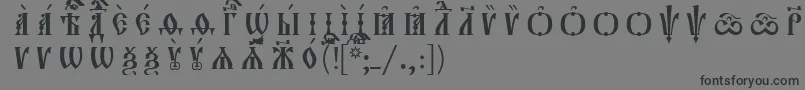 Lisätietoja Orthodox.TtUcs8CapsРазрядочный-fontista Orthodox.TtUcs8CapsРазрядочный-fontti – mustat fontit harmaalla taustalla